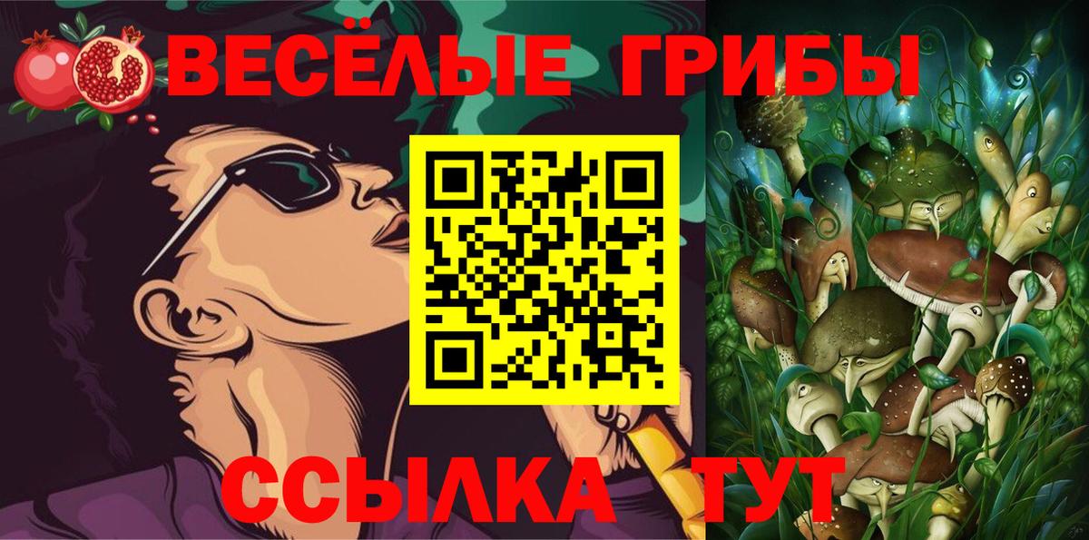 Шарыпово  Галлюциногенные грибы Cubensis  Вход с VPN 