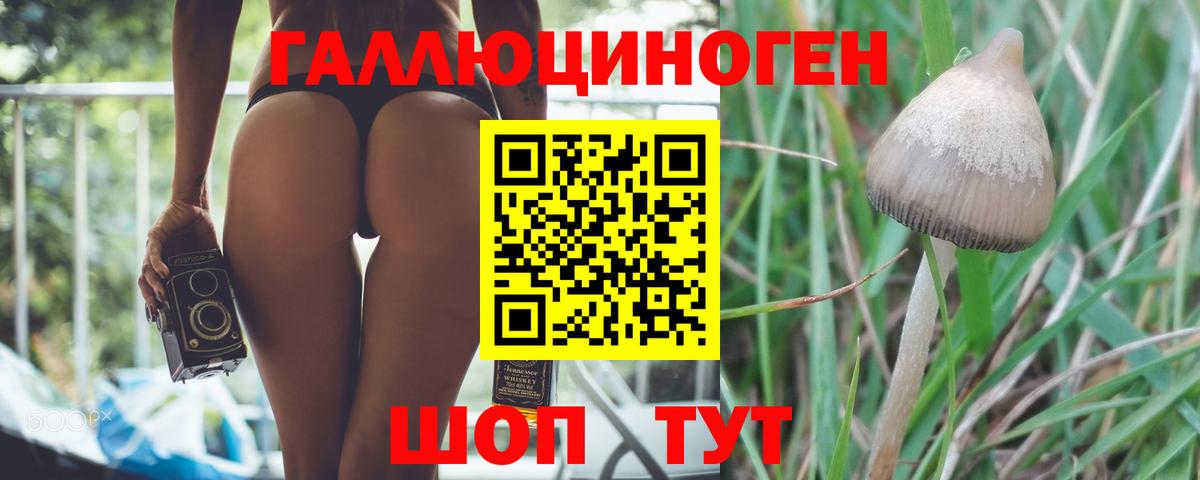 Галлюциногенные грибы мицелий Шарыпово
